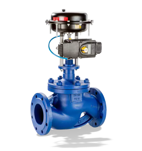 Globe valve: BOA-CVP H